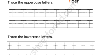 Letter Tracing Worksheets T