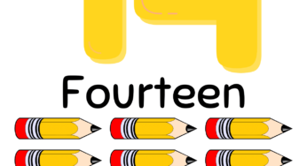Free Number 14 Flashcard PDF Printable