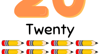 Free Number 20 Flashcard PDF Printable
