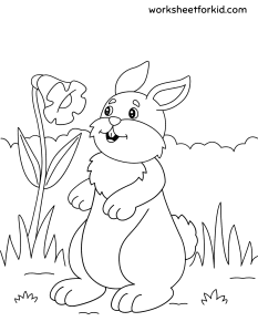 Animals Coloring Pages