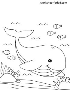 Animals Coloring Pages
