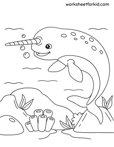Animals Coloring Pages