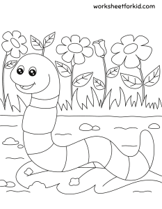 Animals Coloring Pages