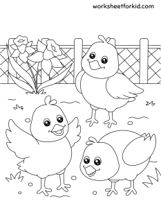 Animals Coloring Pages