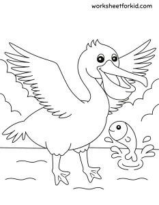 Animals Coloring Pages