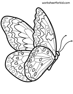 Animals Coloring Pages
