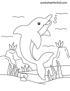 Animals Coloring Pages